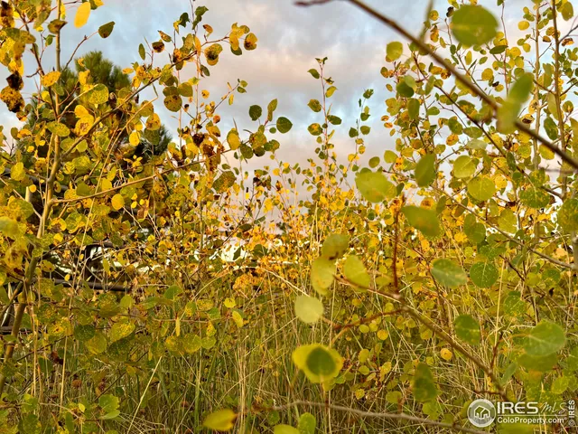 $369,000 | 3235 Davis Ranch Road, Bellvue, CO 80512