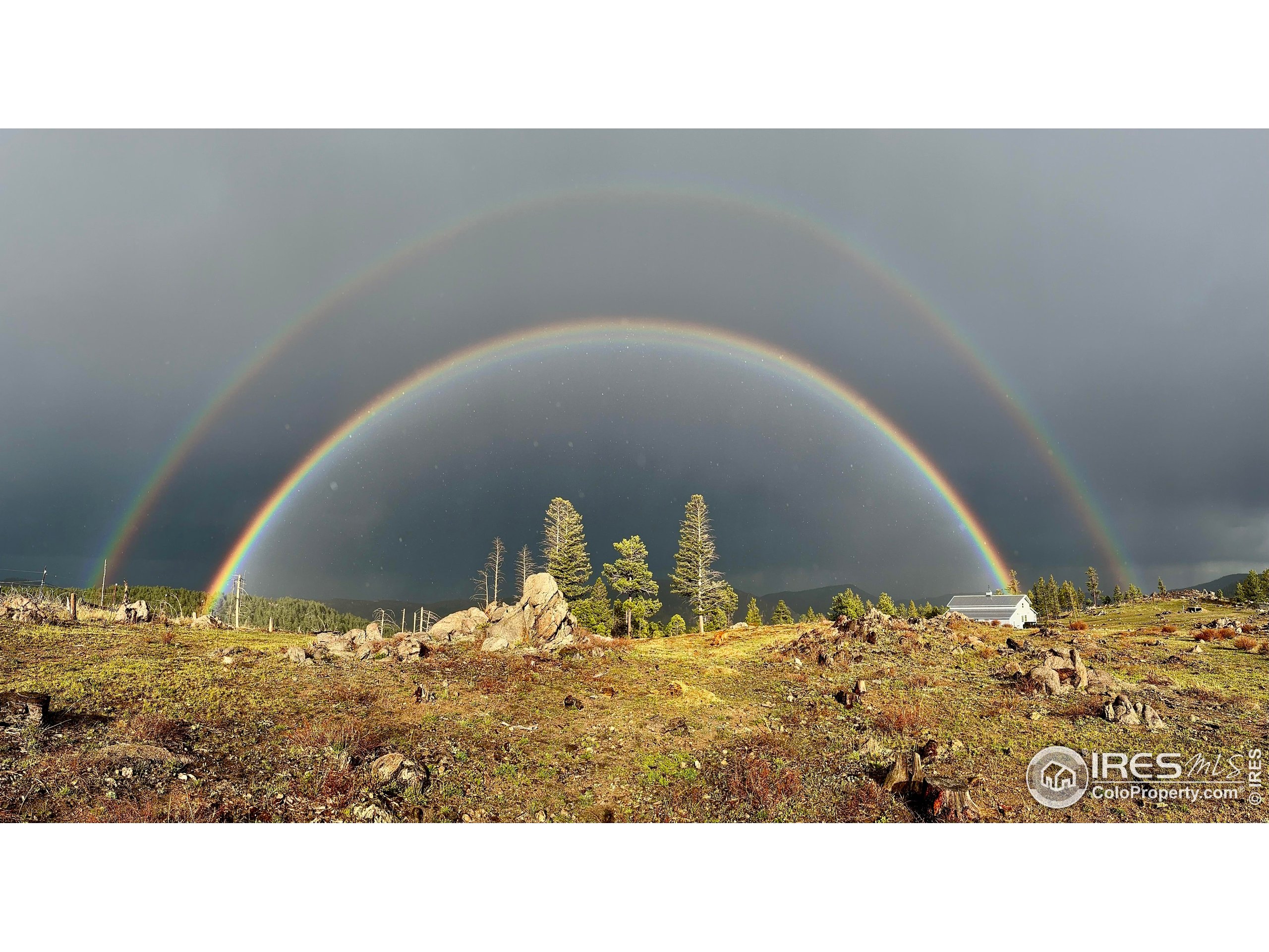 3235 Davis Ranch Road Bellvue, CO 80512 - Photo 38 of 38 a view of a wooden floor