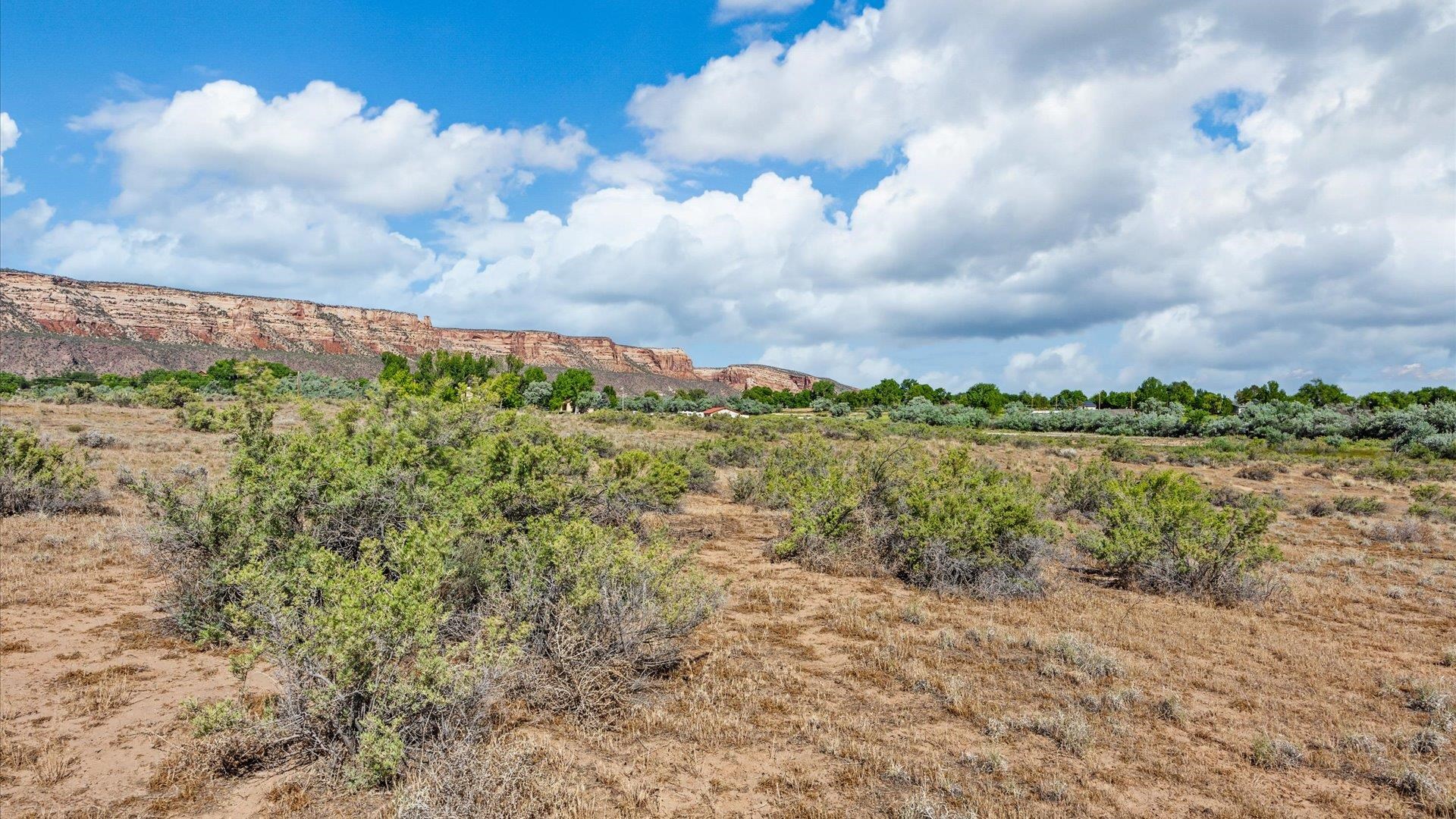2098 East 1/2 Road Grand Junction, CO 81507 - Photo 10 of 24