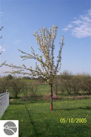 886 East Blanchard Road Shepherd, MI 48883 - Photo 19 of 50 1774376-18.JPG