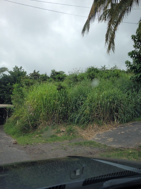 87-3220 Boki Road Captain Cook, HI 96704 - Photo 1 of 10 Gallery Image 1