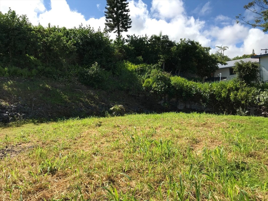 87-3220 Boki Road Captain Cook, HI 96704 - Photo 6 of 10 Gallery Image 6
