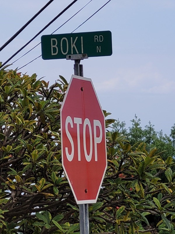 87-3220 Boki Road Captain Cook, HI 96704 - Photo 10 of 10 Gallery Image 10