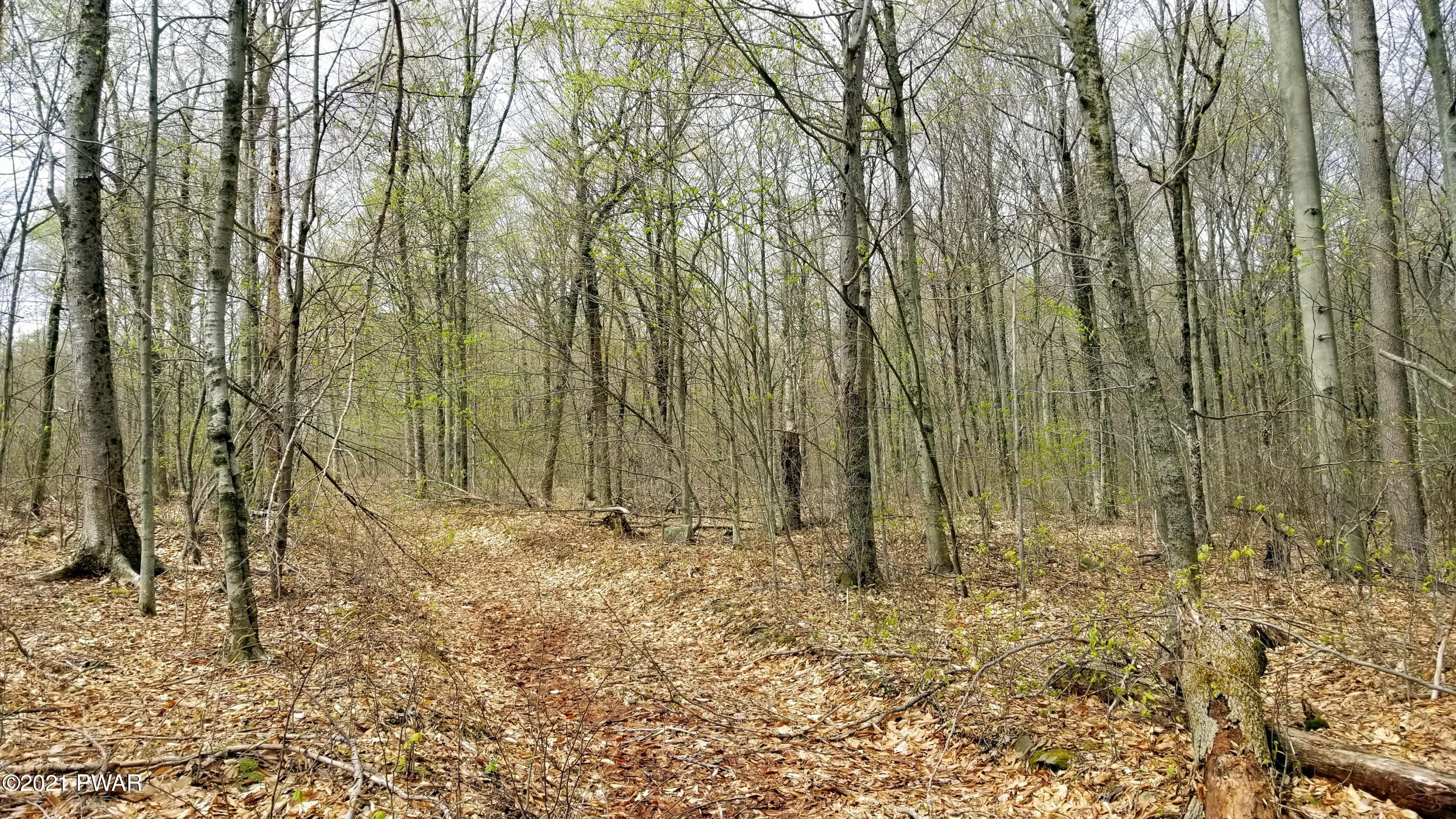 Lot 80 Stonegate Road Equinunk, PA 18417 - Photo 28 of 58