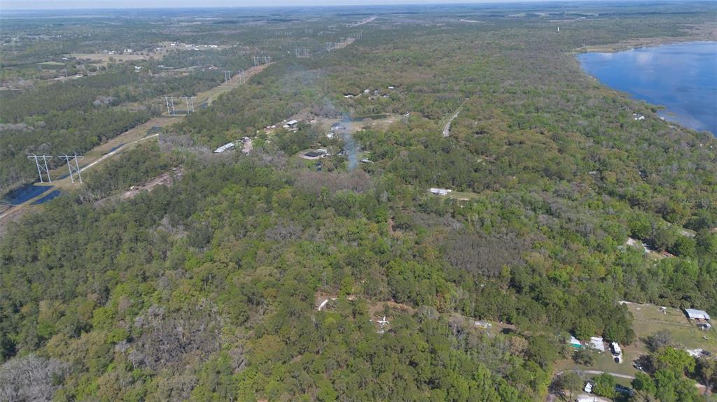 Jungle Road Geneva, FL 32732 - Photo 11 of 21