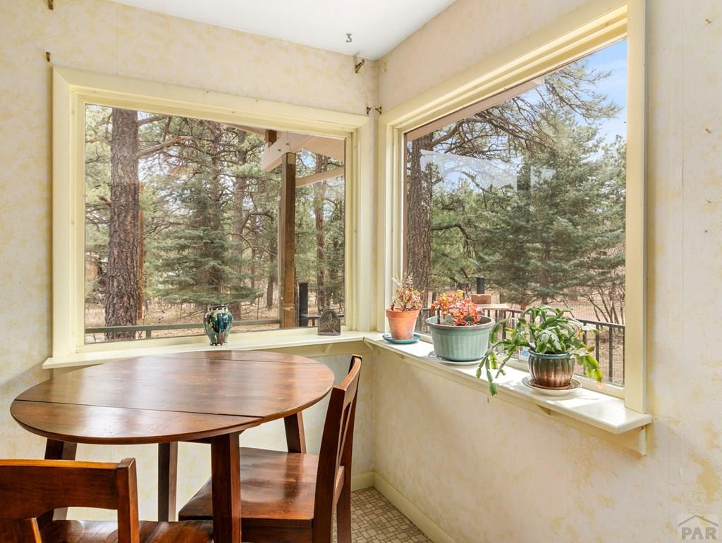 8145 Birch Drive Rye, CO 81069 - Photo 17 of 44