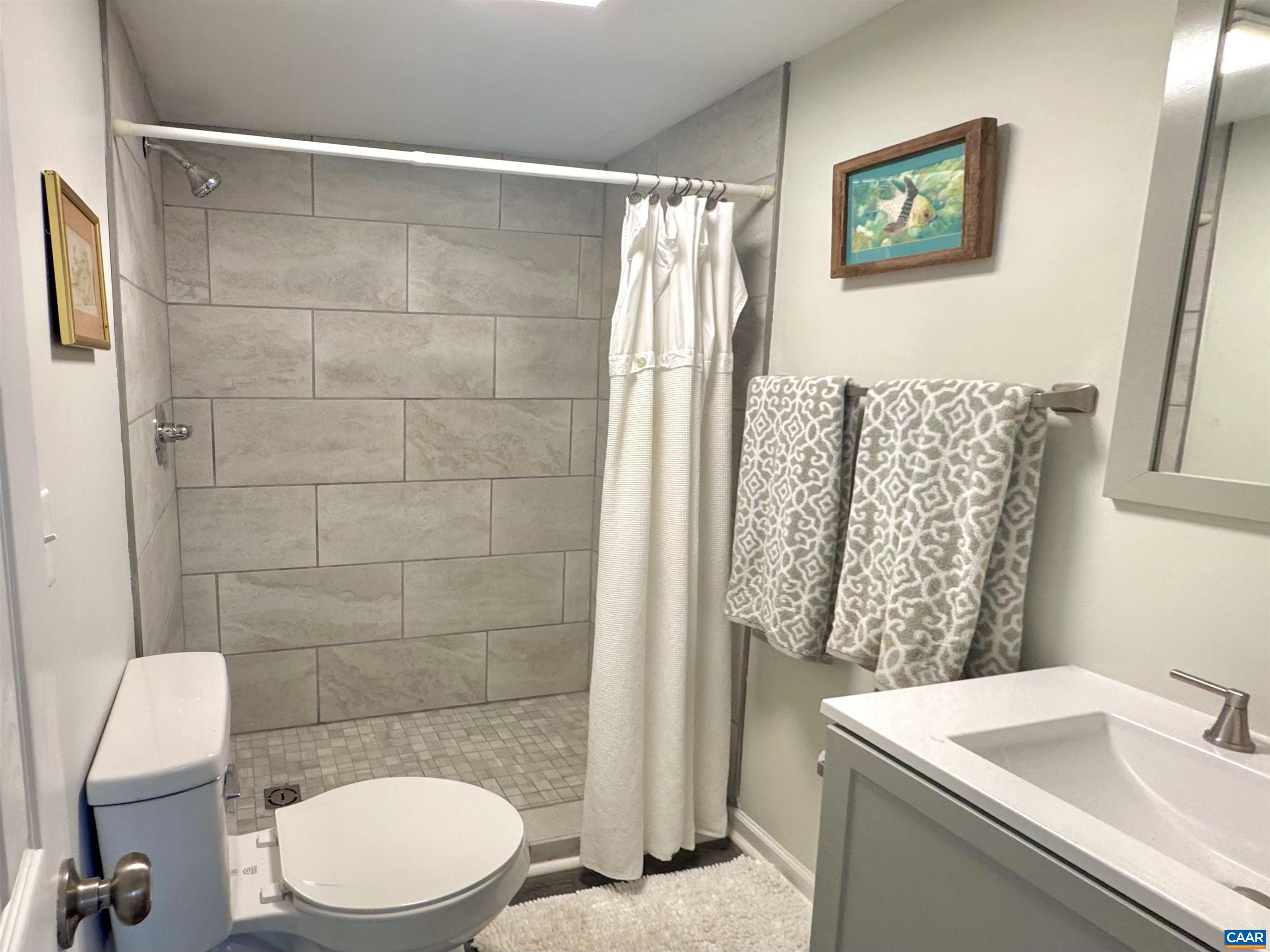 419 Quarry Road Charlottesville, VA 22902 - Photo 9 of 18 a bathroom with a sink a toilet and shower