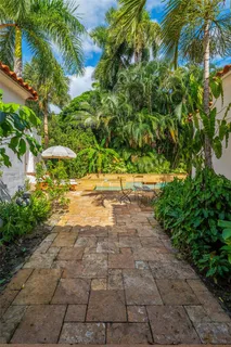 a view of a yard with plants
