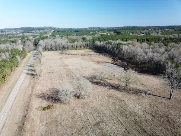a view of a dry yard with green space