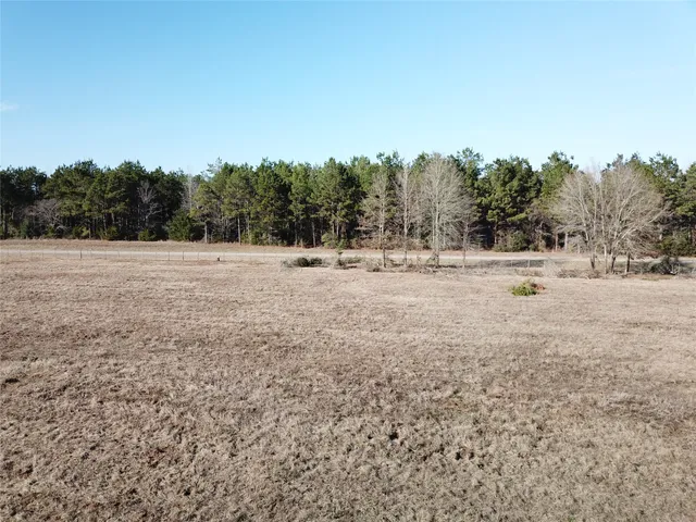 a view of empty field with large trees