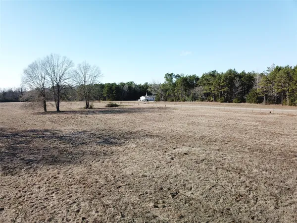 a view of dirt yard with a large tree