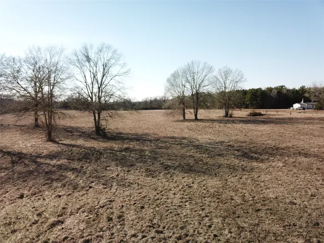 a view of a field with trees in the background