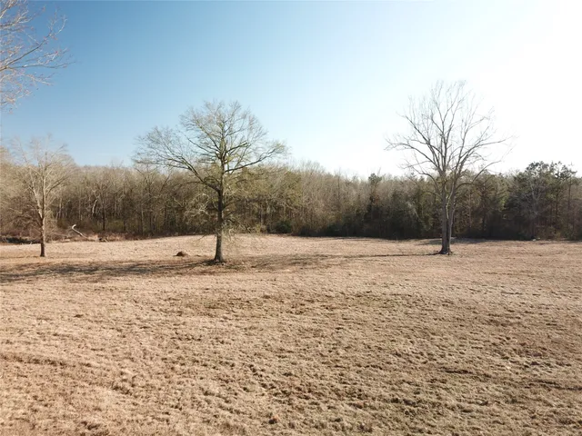 a view of a yard covered with snow