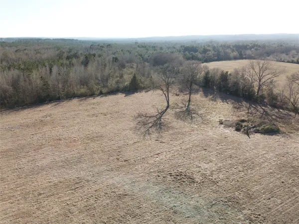 a view of a dry yard with trees