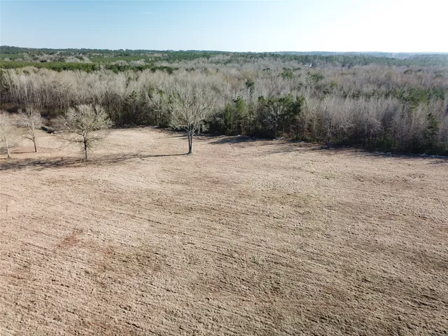 a view of a dry yard with mountain