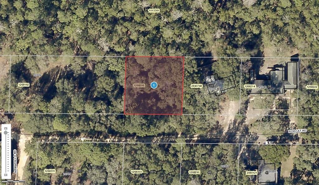 0 Bobcat Road Altoona, FL 32702 - Photo 1 of 1 Gallery Image 1