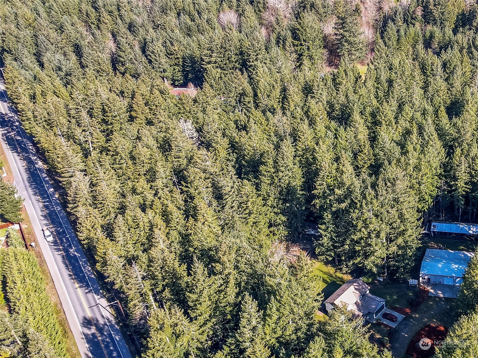 8538 Rainier Road Southeast Lacey, WA 98513 - Photo 2 of 5 Gallery Image 2
