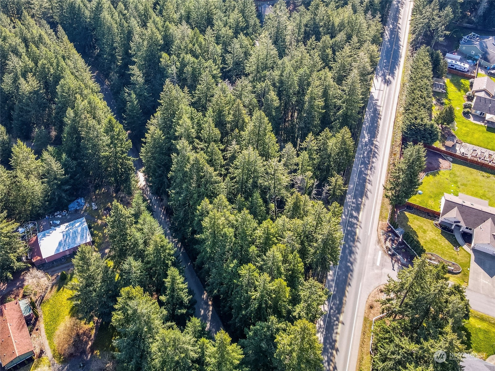 8538 Rainier Road Southeast Lacey, WA 98513 - Photo 5 of 5 Gallery Image 5