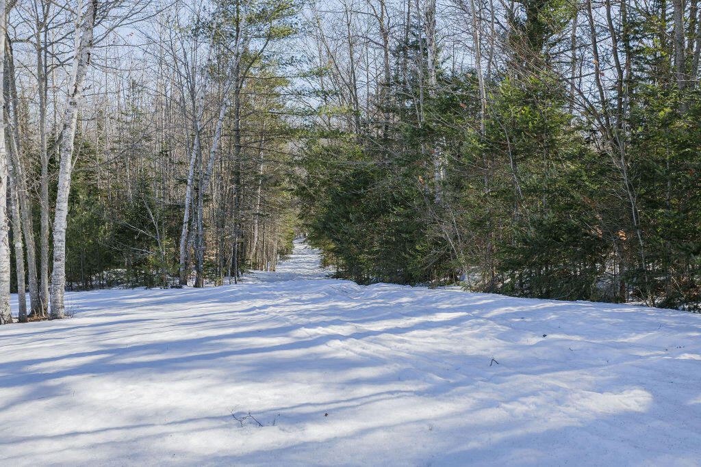 31 Bog Pond Road Phillips, ME 04966 - Photo 77 of 104 taylor-kaminsky-photo-14