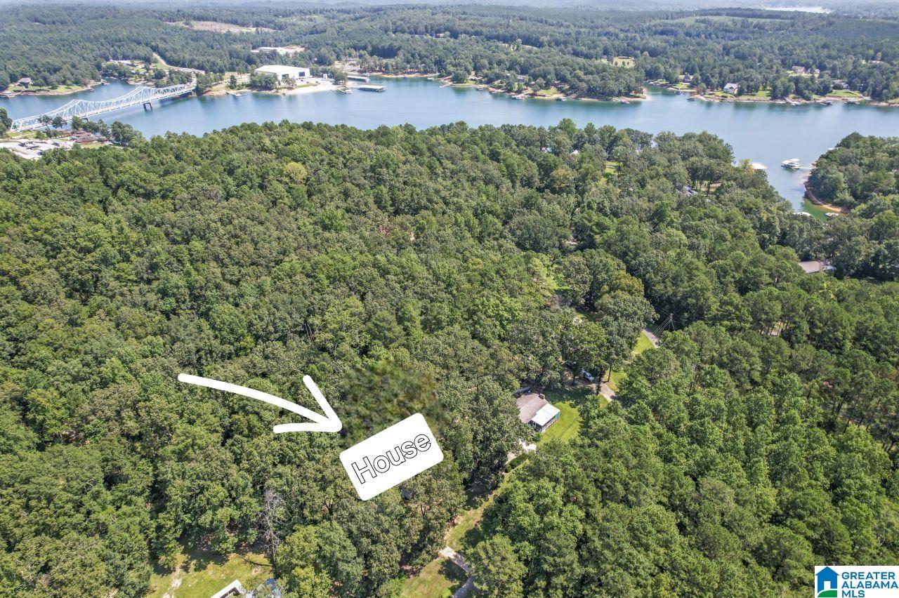 243 Burtwood Acres Road Jasper, AL 35503 - Photo 3 of 41