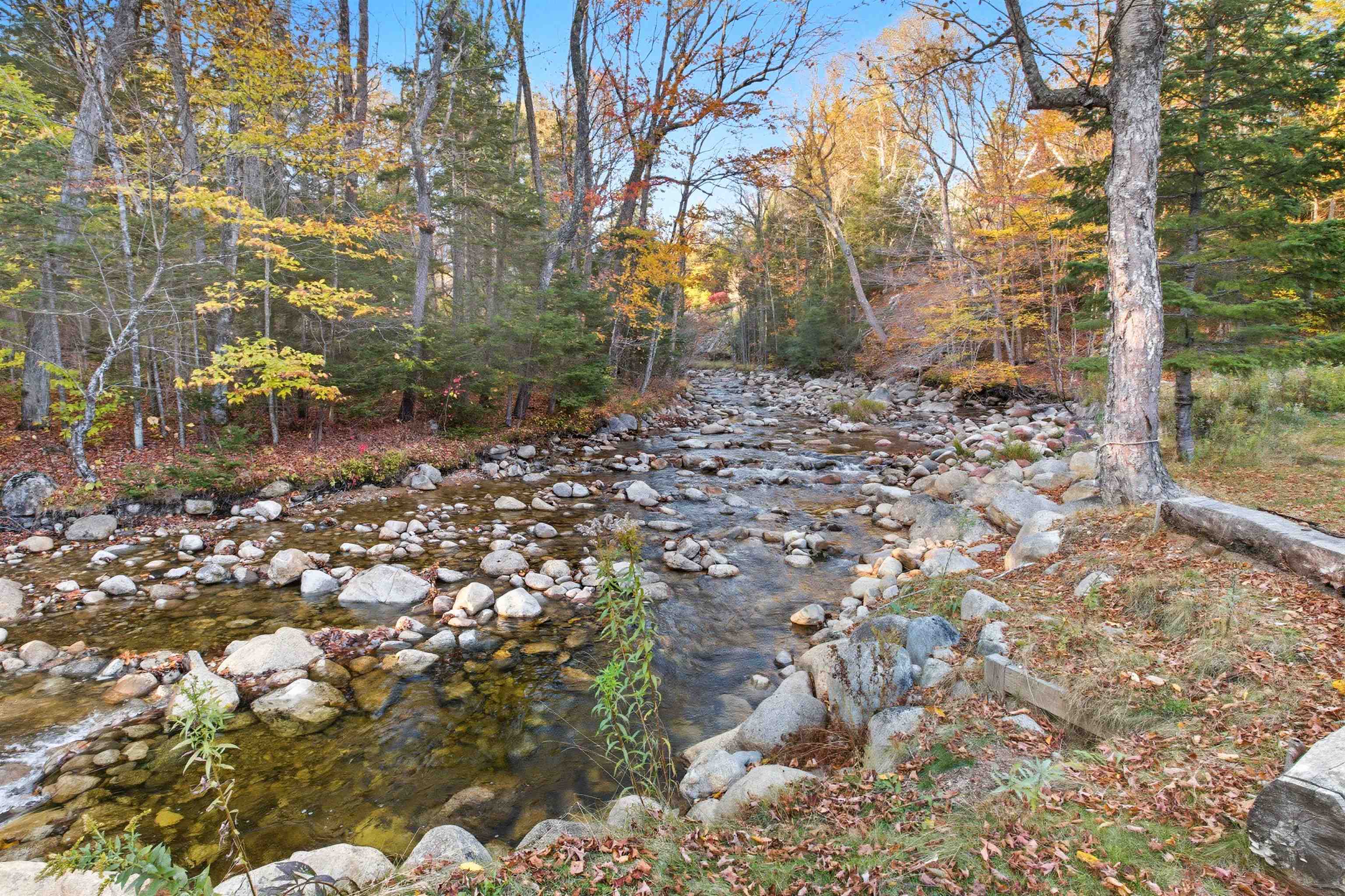 75 West Branch Road Waterville Valley, NH 03215 - Photo 3 of 60