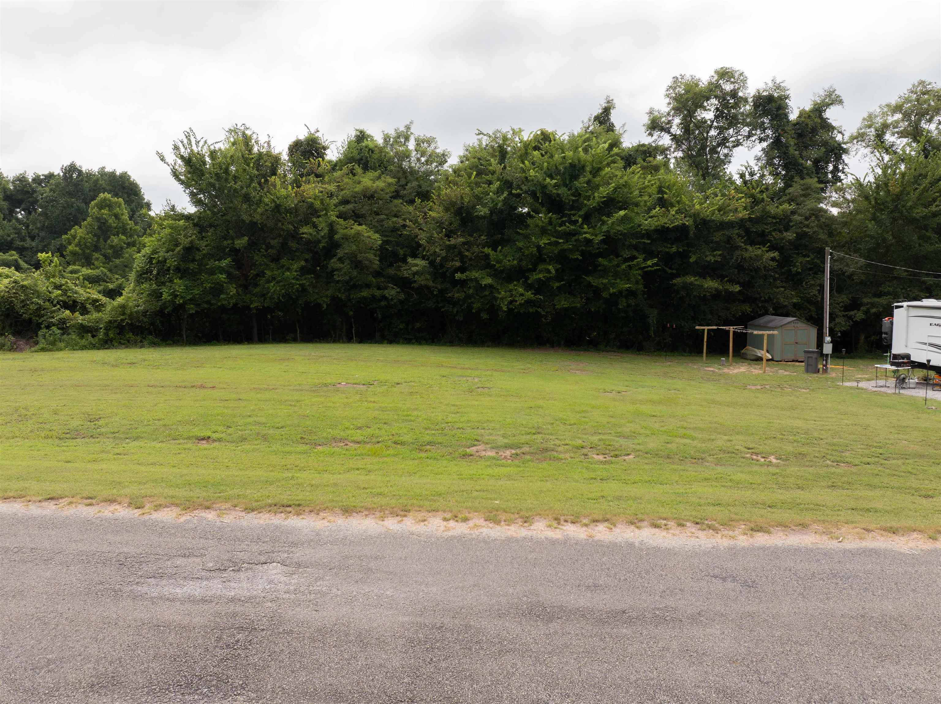 View of yard featuring a shed