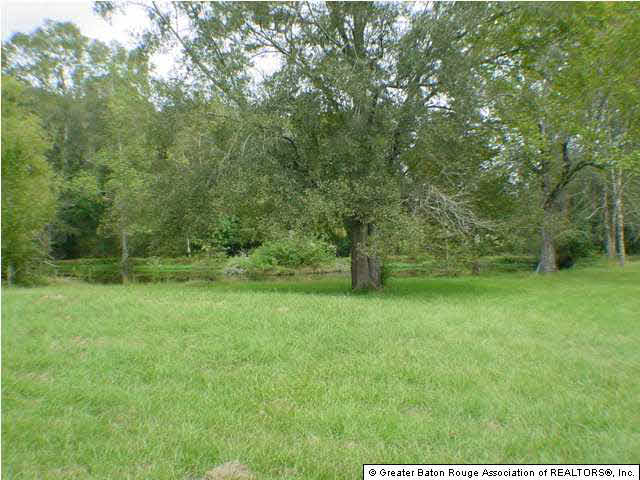13174 Joor Road Baton Rouge, LA 70818 - Photo 6 of 7