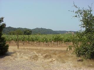 2810 Redwood Road Napa, CA 94558 - Photo 2 of 6 Gallery Image 2