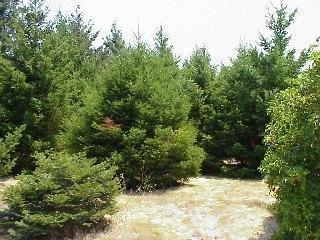 2810 Redwood Road Napa, CA 94558 - Photo 3 of 6 Gallery Image 3
