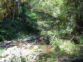 2810 Redwood Road Napa, CA 94558 - Photo 4 of 6 Gallery Image 4