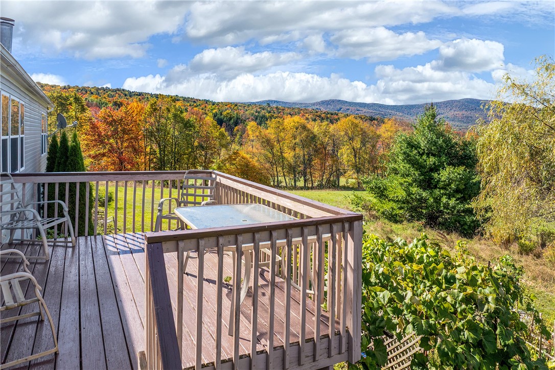 936 Potter Mountain Road Conesville, NY 12076 - Photo 39 of 50