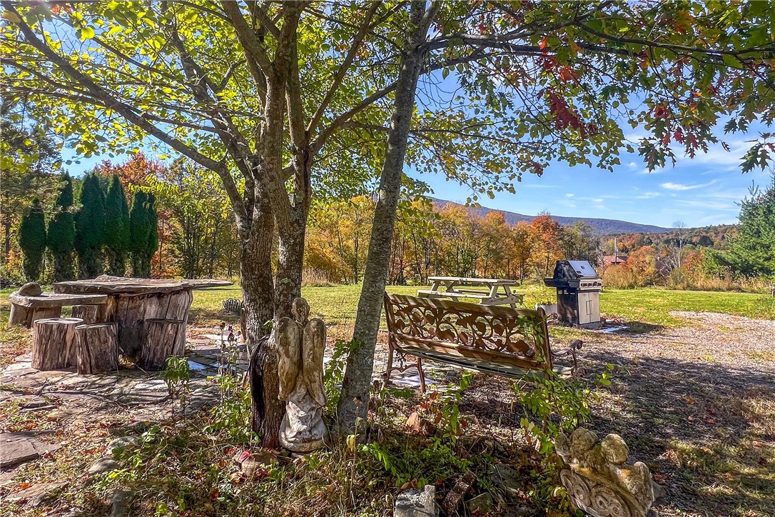 936 Potter Mountain Road Conesville, NY 12076 - Photo 42 of 50