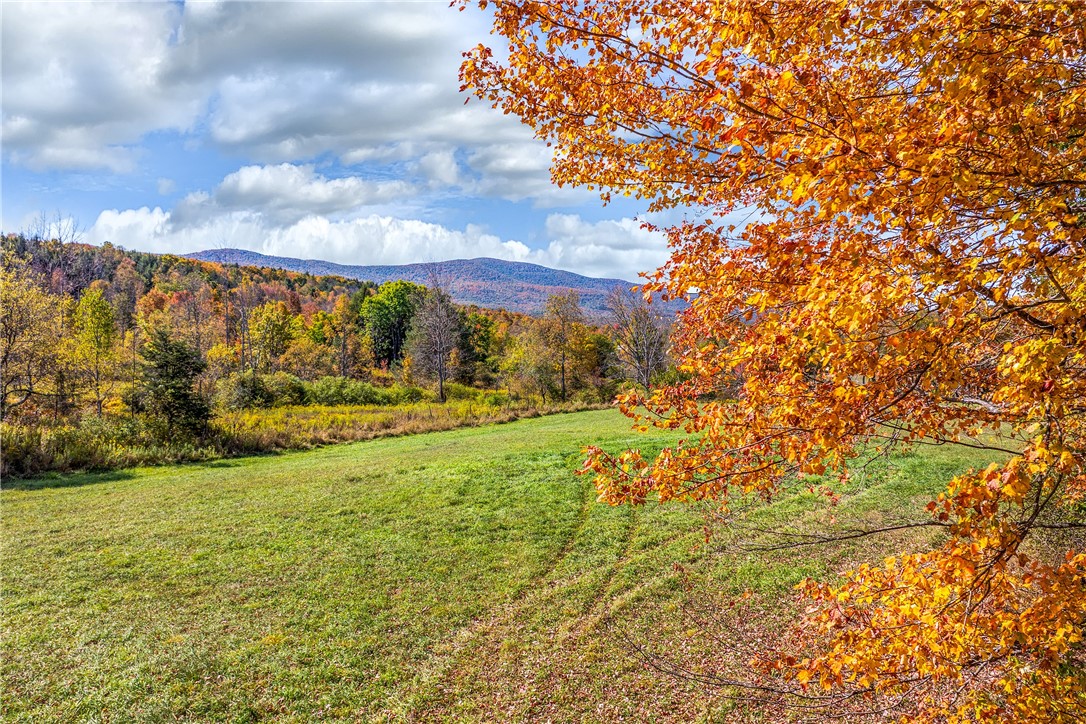 936 Potter Mountain Road Conesville, NY 12076 - Photo 48 of 50