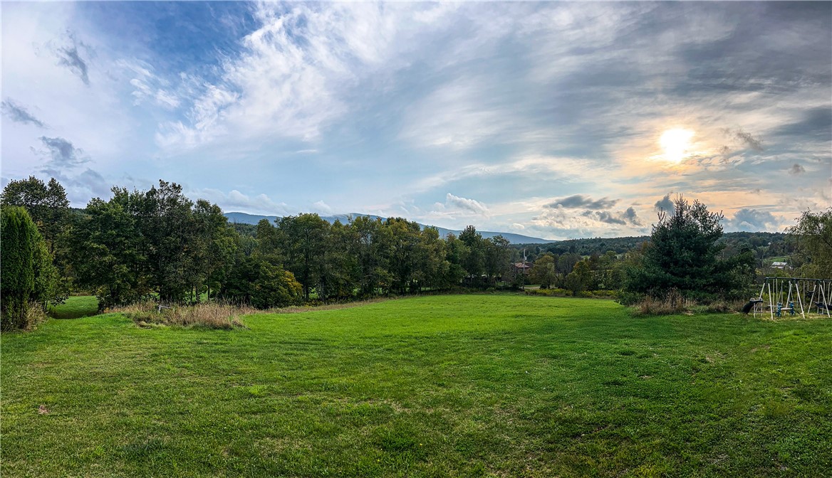 936 Potter Mountain Road Conesville, NY 12076 - Photo 49 of 50