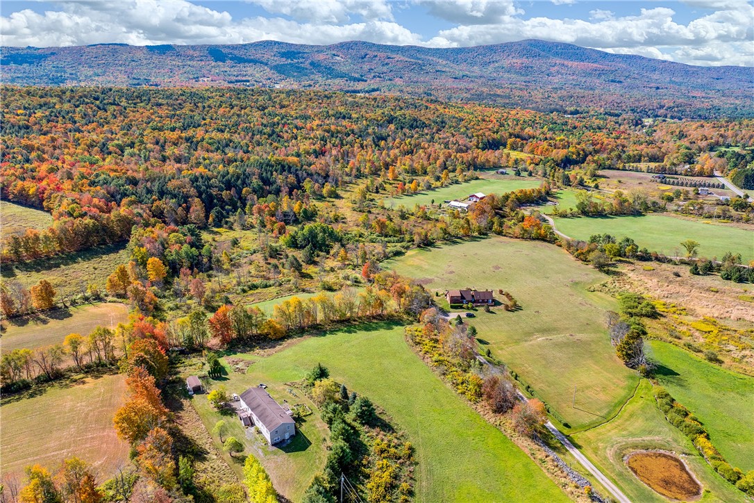 936 Potter Mountain Road Conesville, NY 12076 - Photo 50 of 50