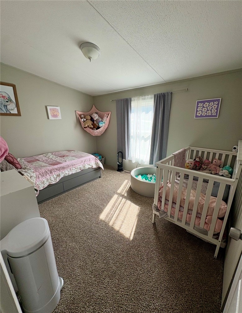 10307 Tannery Creek Road Caton, NY 14830 - Photo 19 of 29