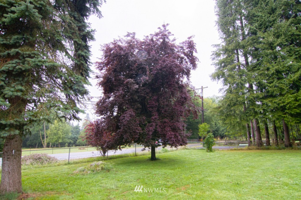 21001 Brown Road Monroe, WA 98272 - Photo 14 of 19