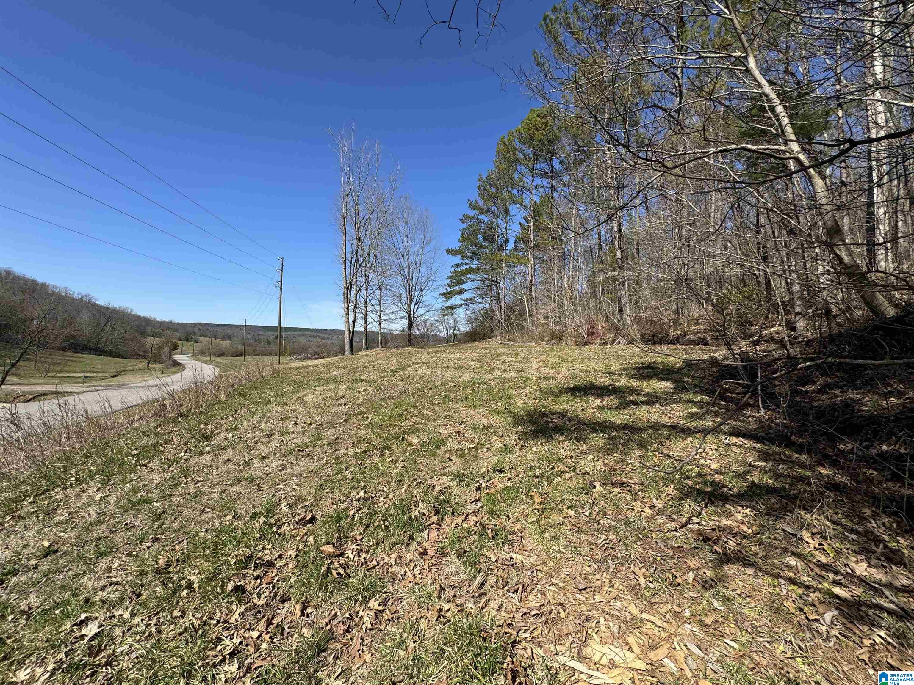 0 Rocky Hollow Road, Unit 3 00 Guntersville, AL 35976 - Photo 12 of 23