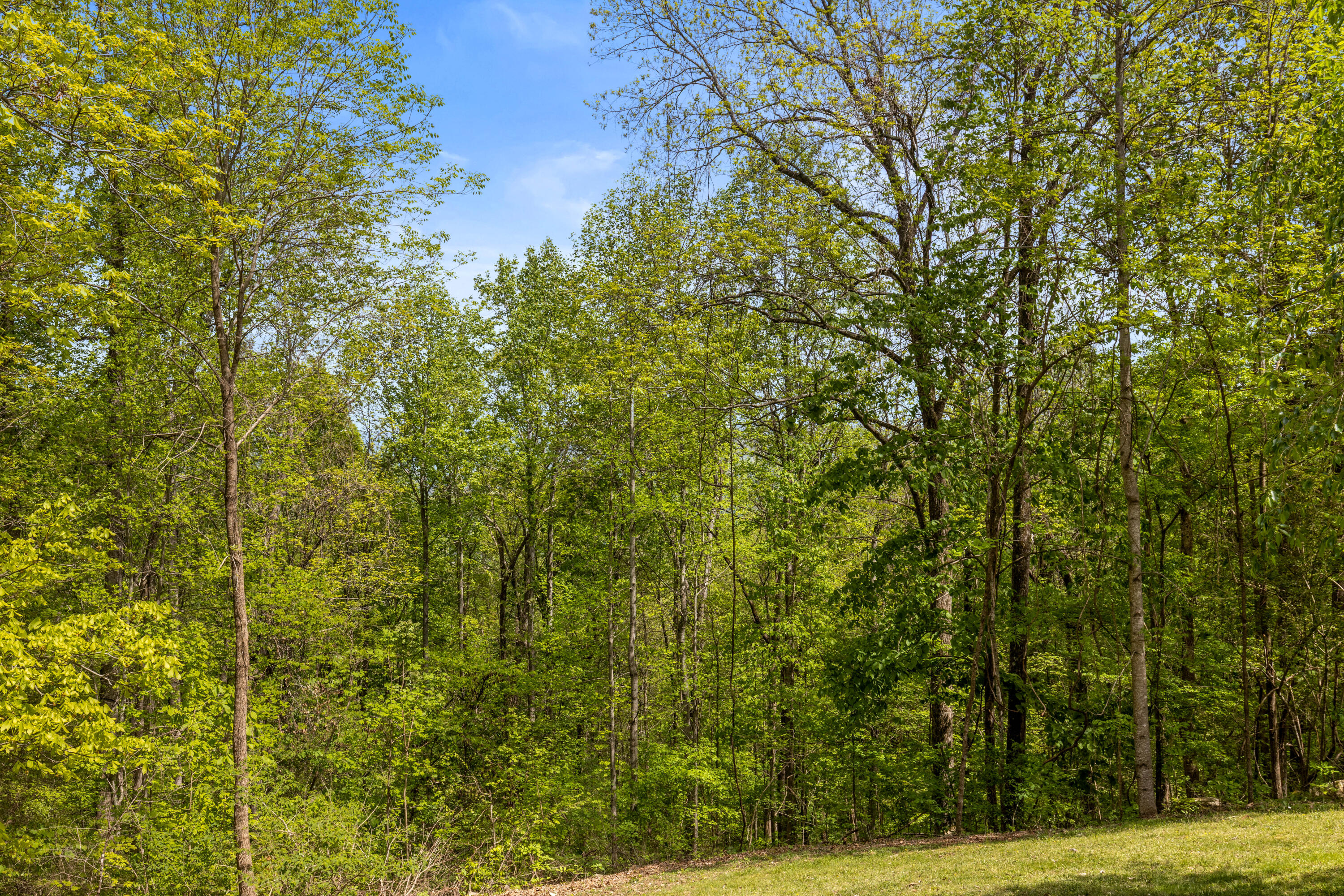 3850 Stagecoach Road Sewanee, TN 37375 - Photo 55 of 88 Stagecoach-15