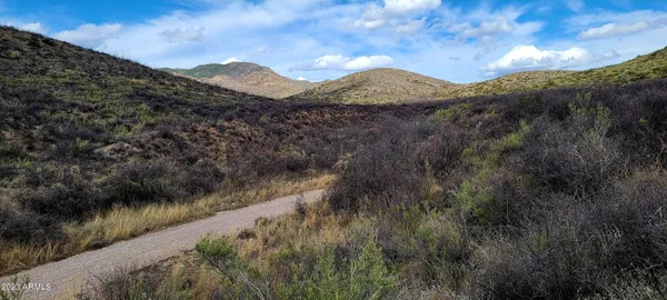 $45,000 | Lot 9 West Red Mountain Road, Unit 9, Bisbee, AZ 85603