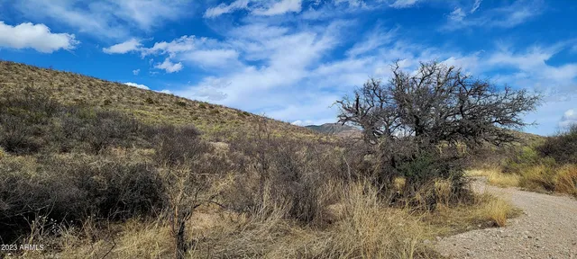 $49,900 | Lot 9 West Red Mountain Road, Unit 9, Bisbee, AZ 85603