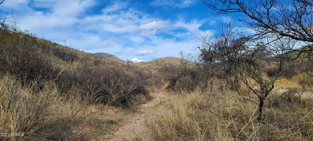 $49,900 | Lot 9 West Red Mountain Road, Unit 9, Bisbee, AZ 85603