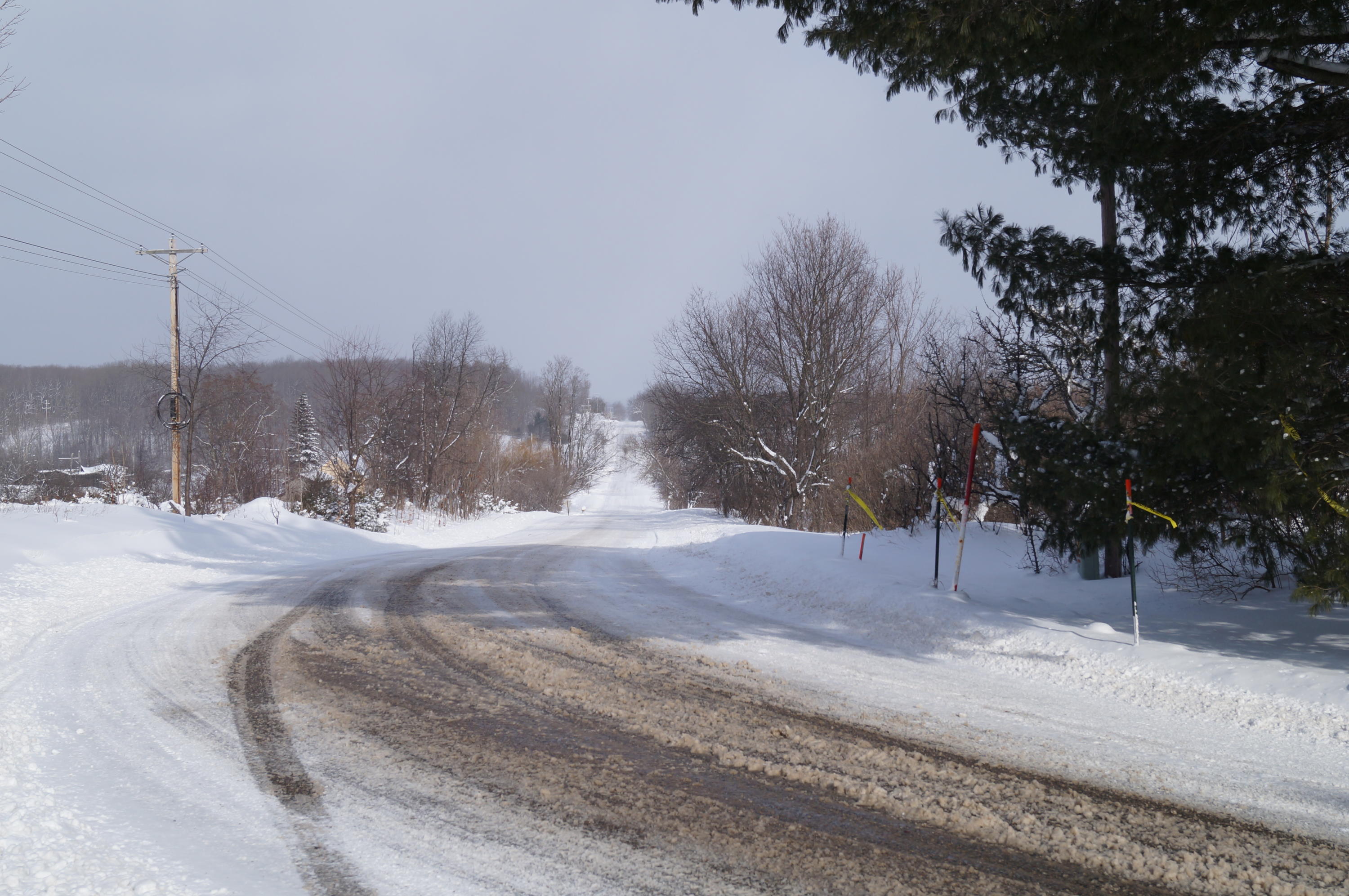 0 Red School Road Brutus, MI 49716 - Photo 2 of 7 Gallery Image 2