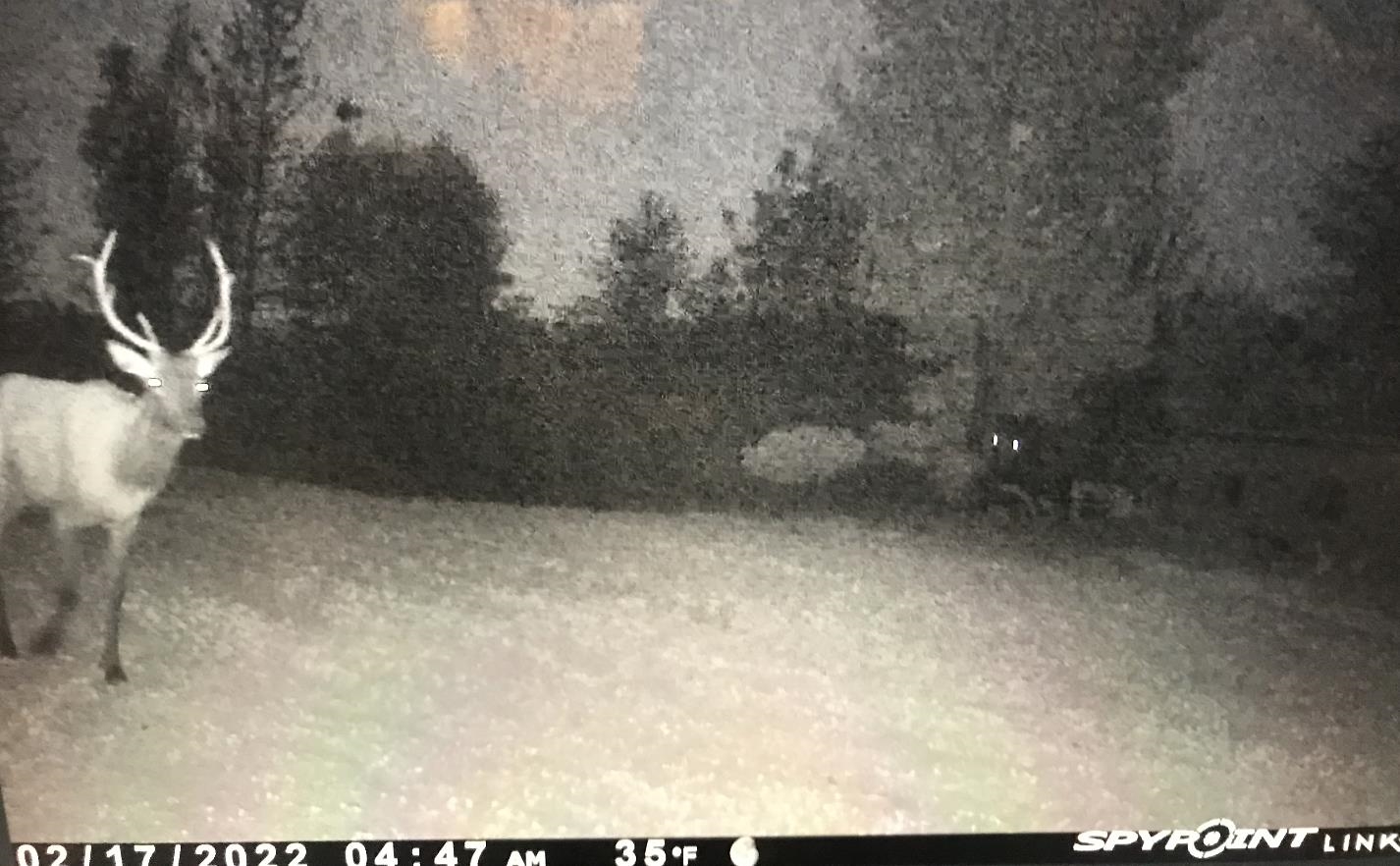 0 Henschell Road Fife Lake, MI 49633 - Photo 16 of 35 Gallery Image 16