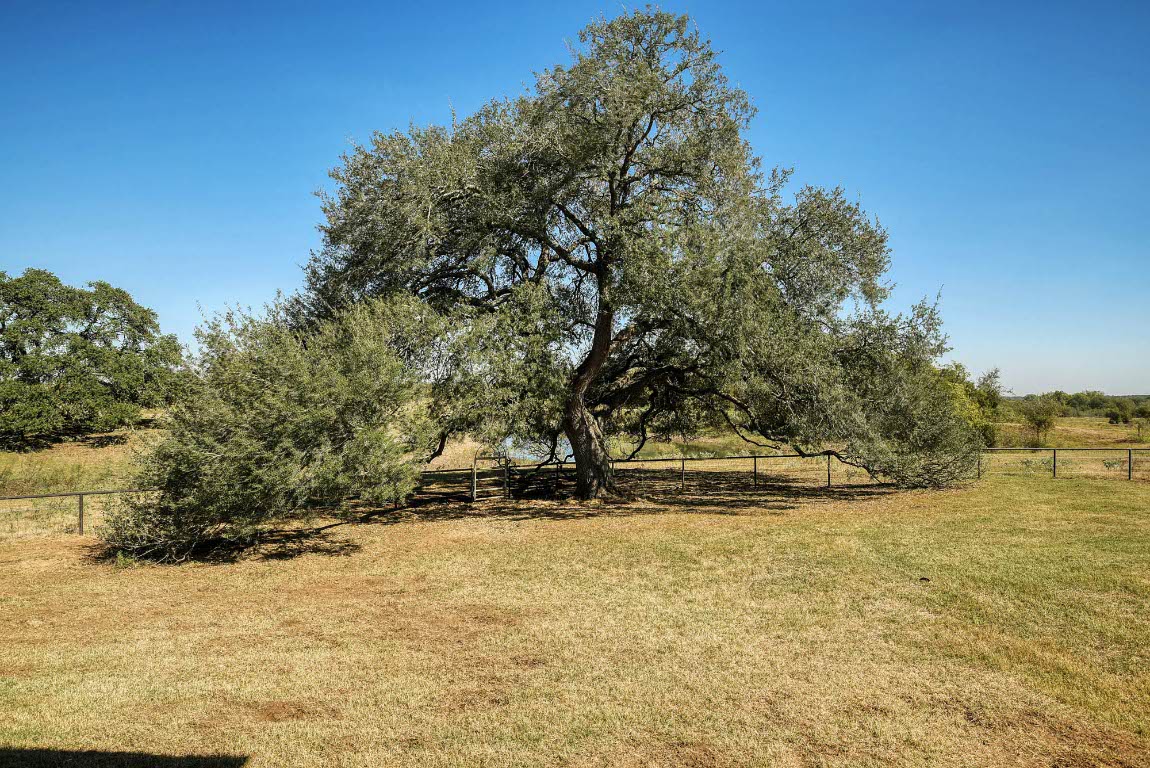 603 Watterson Road, Unit B AND C Bastrop, TX 78602 - Photo 36 of 40 a view of yard