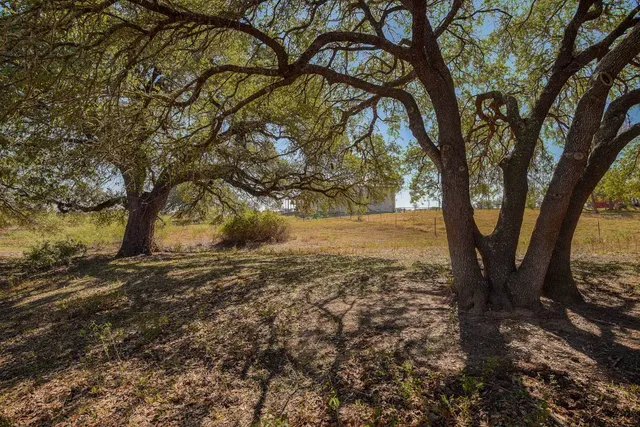 a view of a yard with trees