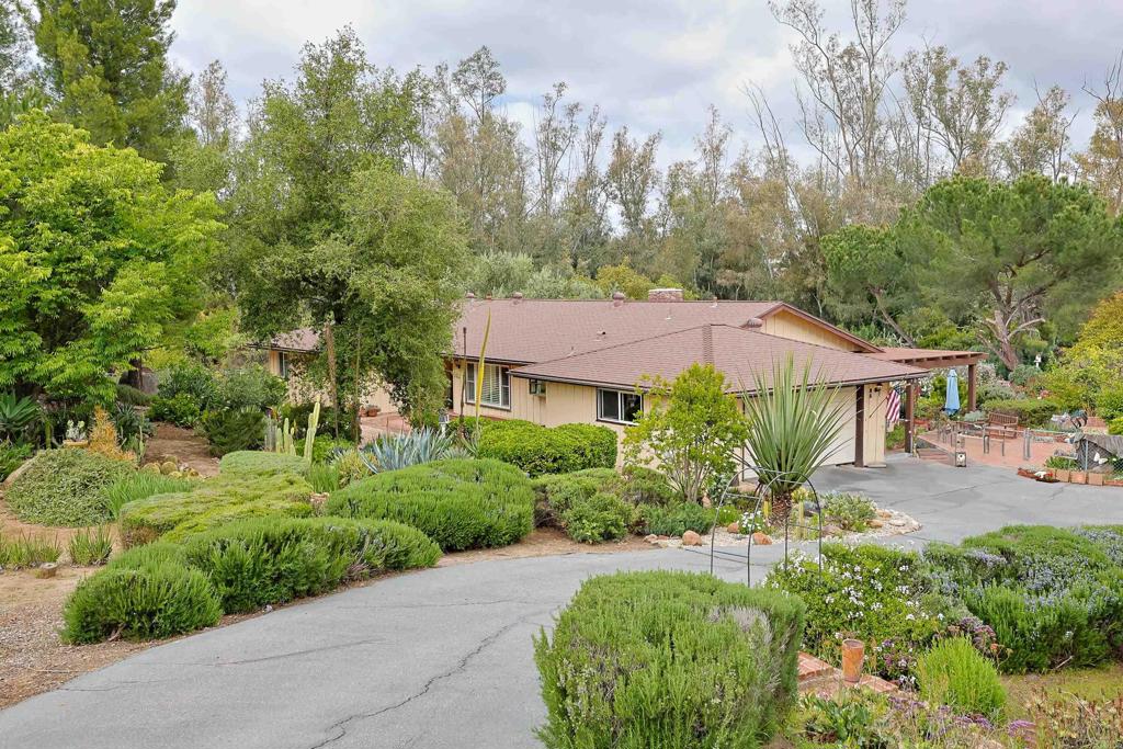 a view of a garden with potted plants and large trees