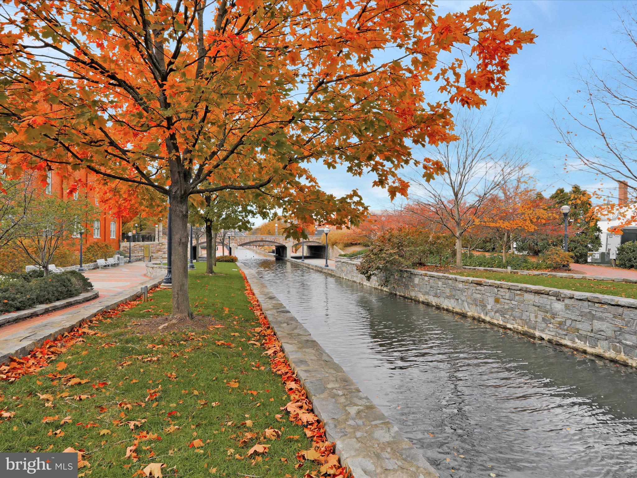 117 West 3rd Street Frederick, MD 21701 - Photo 60 of 76