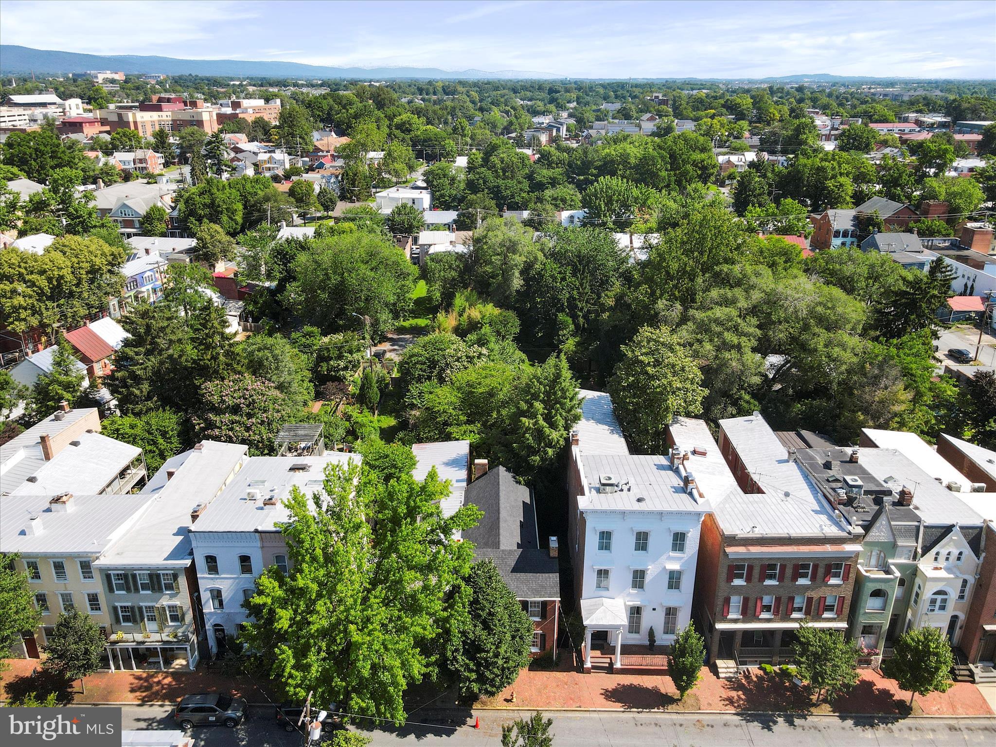 117 West 3rd Street Frederick, MD 21701 - Photo 8 of 76