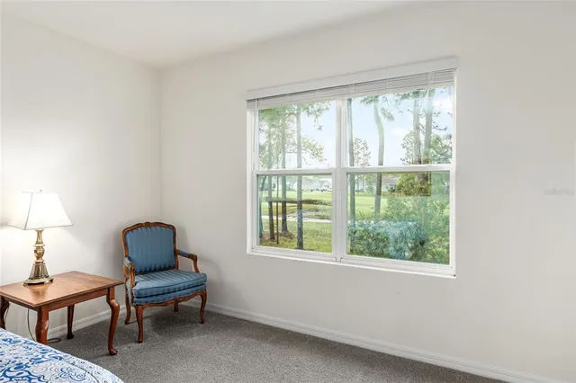 a view of a garden with a tree